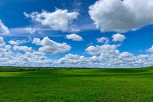 意外险二百万人多少钱？购买需要注意什么？-保点通