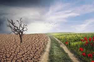 100元意外险能赔多少钱?100元意外险的责任是什么?-保点通