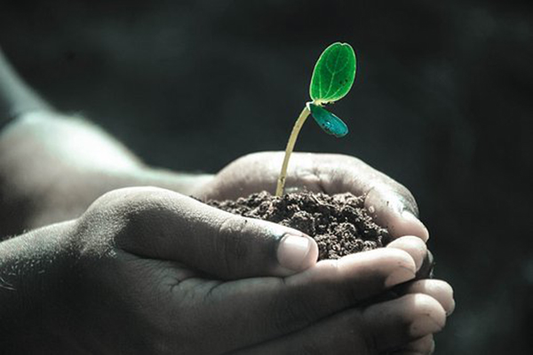 一年人身意外险多少钱？保障范围是什么？-保点通