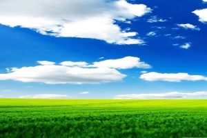 终身死亡保险的支付条件是什么？特点是什么？-保点通