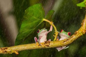 一年买意外险要多少钱？怎么买？-保点通