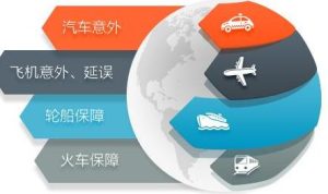 如何选择一年期交通意外险？-保点通