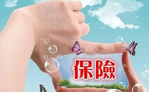 人身意外险如何报案？理赔需要哪些材料？-保点通