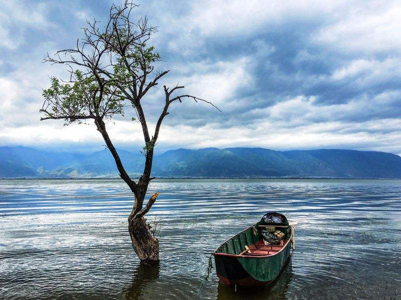 想看看世界，但行动不便？不妨先看看残疾人旅游保险-保点通