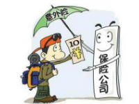 如何购买高原旅游意外险？-保点通