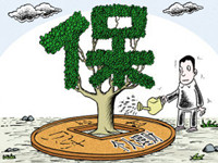 出门在外需要准备什么？-保点通