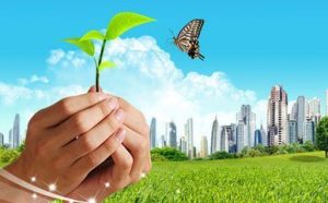 如何为家人购买健康事故医疗保险?-保点通