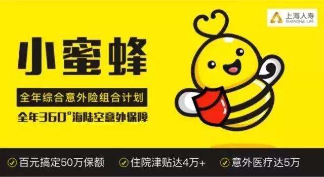 给大家介绍一款优秀的意外险—小蜜蜂全年综合意外险-保点通