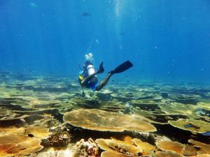 不要让意外阻挡你运动的道路-保点通