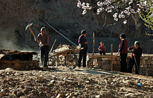 如何购买农村小额意外险？购买攻略都在这里-保点通