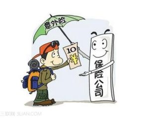 小小的意外险其实有很大的作用！-保点通