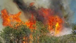 遇到火灾敢不敢救火？有了它，不要怂就是干！-保点通