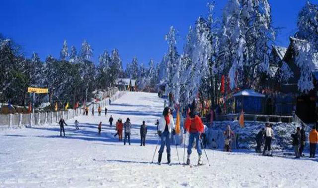 去滑雪别忘了给自己配置一份意外险！-保点通