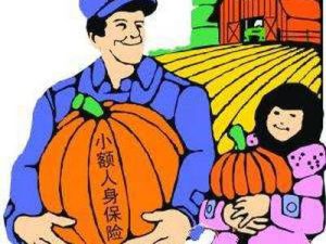 你买了农村20元的意外保险吗？-保点通