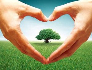 人身意外伤害保险的意外范围是什么？-保点通