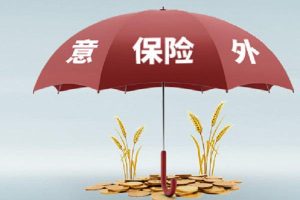 小蜜蜂超越版怎么样？小蜜蜂超越版值得买吗？-保点通