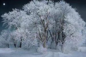 意外险的好处？你想买意外险吗？-保点通