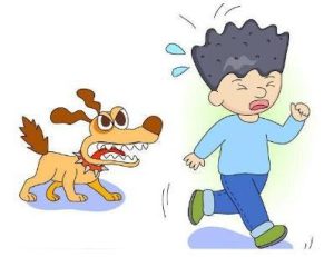 狂犬疫苗意外保险可以报销吗?-保点通