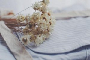 意外险费率是多少？如何计算意外险费率？-保点通