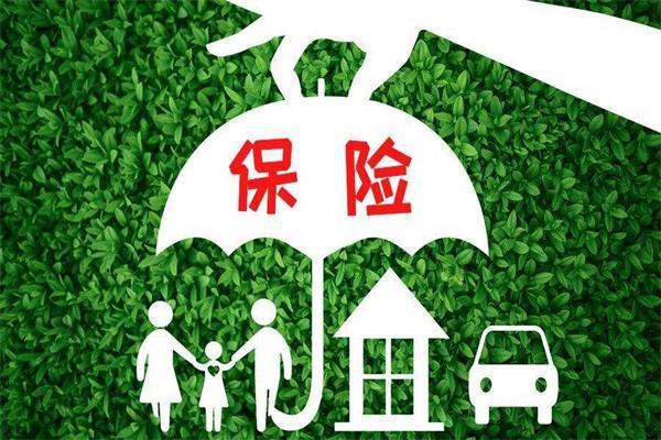 意外险是什么保险？识别条件是什么？-保点通