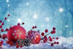 意外险到底保障了哪些意外？意外伤害保险的条款是什么？-保点通