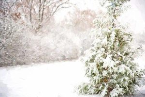 什么是附加意外伤害保险？附加意外伤害保险的理赔流程是什么？-保点通