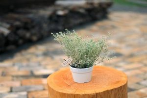 短期意外险多少钱？购买短期意外险有哪些技巧？-保点通