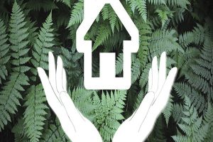 出国意外险怎么购买？出国买意外险需注意什么？-保点通