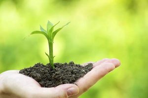 有必要购买意外伤害保险吗？如何购买意外伤害保险？-保点通