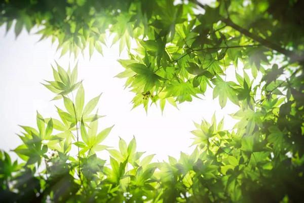 意外险的受益人是什么意思？意外伤害保险的受益人应该如何填写？-保点通