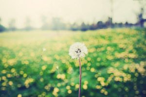 私家车有必要买驾驶保险吗？如何购买私家车驾驶保险？-保点通