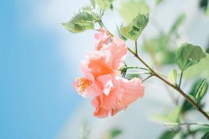 意外险和意外险有什么区别？如何选择意外险？-保点通