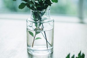 意外伤害的二级标准是什么？免除意外伤害保险的责任是什么？-保点通