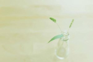 酒店意外摔伤的赔偿标准是什么？酒店意外摔伤怎么理赔？-保点通