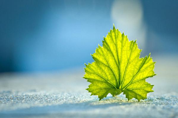 太平洋个人意外险的价格是多少？如何购买太平洋个人意外险？-保点通
