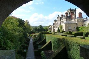 大金刚和小蜜蜂意外险有什么区别？小蜜蜂意外险有哪些限制？-保点通