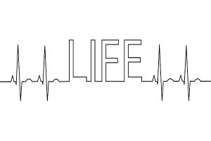 临时意外险是什么？如何购买临时意外险？-保点通