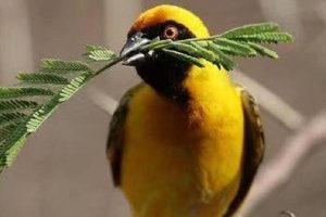 买意外险要注意什么？如何选择意外险？-保点通