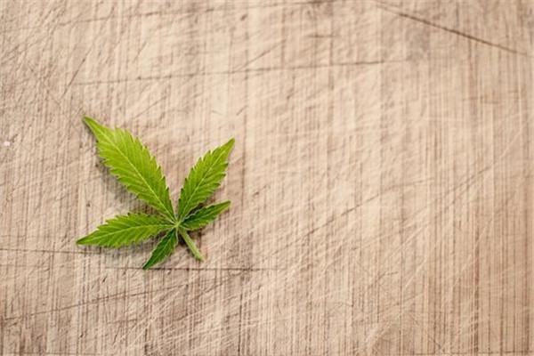5类工人能买短期意外险吗？需要加费吗？-保点通