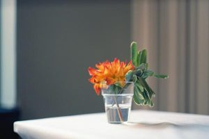 如何购买平安保险旅游人身意外险？购买时应注意什么？-保点通