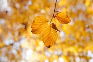 人身意外伤害的种类有哪些？如何购买人身意外伤害保险？-保点通