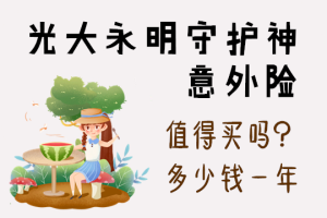 光大永明守护者事故保险好吗？这个产品值得买吗？-保点通