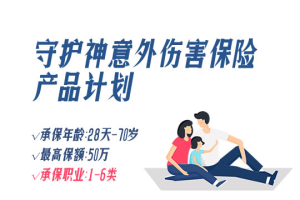 守护神意外保险理财产品方案-保点通