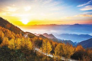 一年期综合意外险是什么？投保要注意什么？-保点通