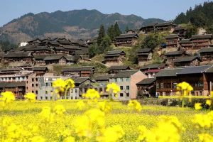 保险主要包括什么样保险产品？保证限额有啥？-保点通