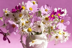 网上查询车辆交强险的方式有哪些?过期有什么影响?-保点通