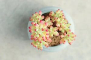 一年买车保险多少钱?需要买什么?-保点通