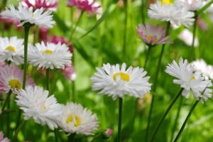 汽车上最好的保险是什么?一年要多少钱?-保点通