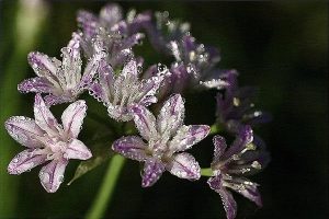 车辆年检过期影响保险报告吗?如何报告车辆保险?-保点通