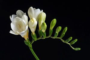 如何购买新手车险最合适?哪家公司的产品好?-保点通